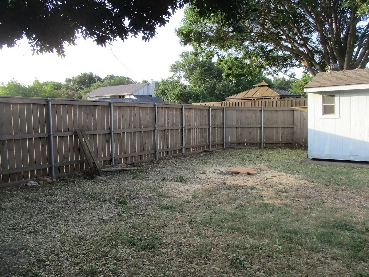 Cleared yard after professional tree removal in Irasburg